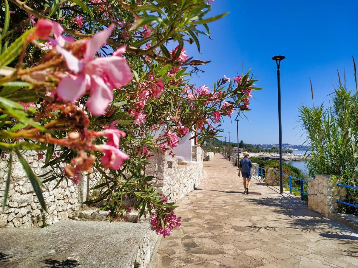 Marina Di Andrano - Alisso, Casa Vista Mare Con Parcheggio Privato E Wifi Βίλα Εξωτερικό φωτογραφία