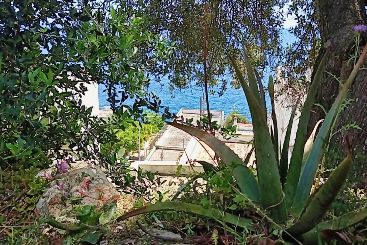 Marina Di Andrano - Alisso, Casa Vista Mare Con Parcheggio Privato E Wifi Βίλα Εξωτερικό φωτογραφία